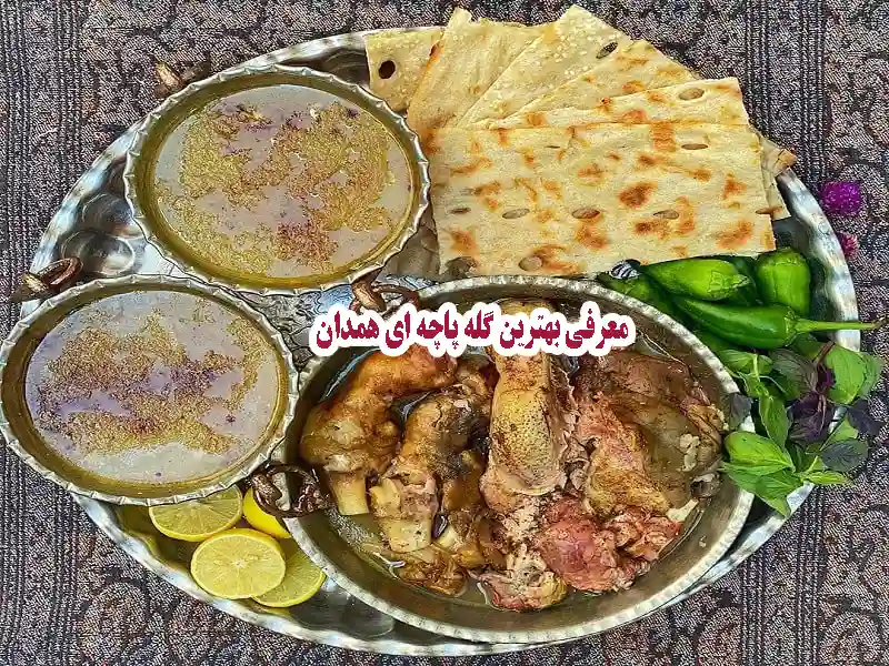 معرفی بهترین کلپاچه ای همدان